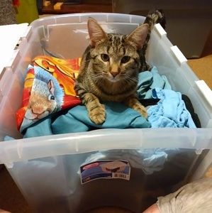 Meet your Posher, Billie